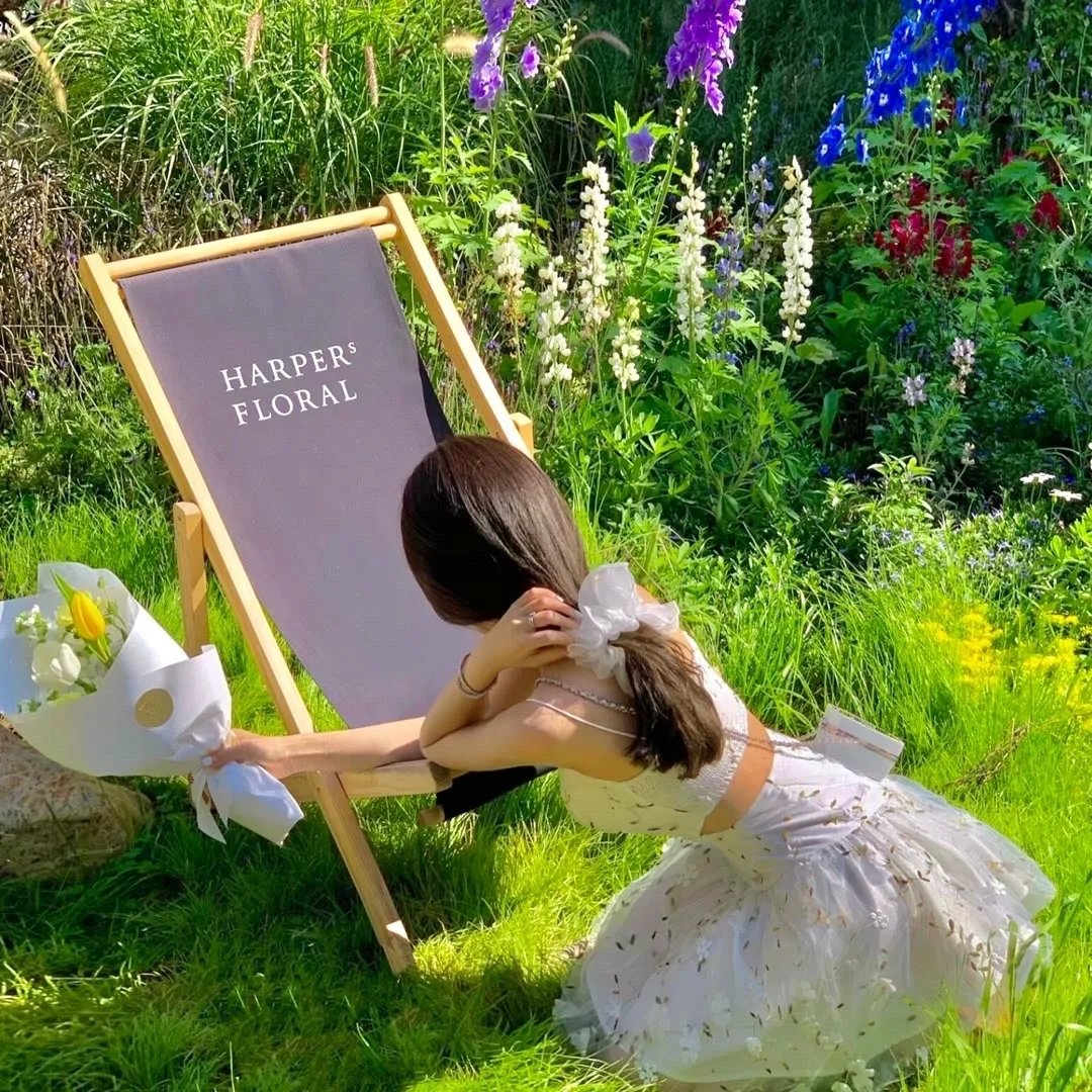 长安未知局之大唐遗宝