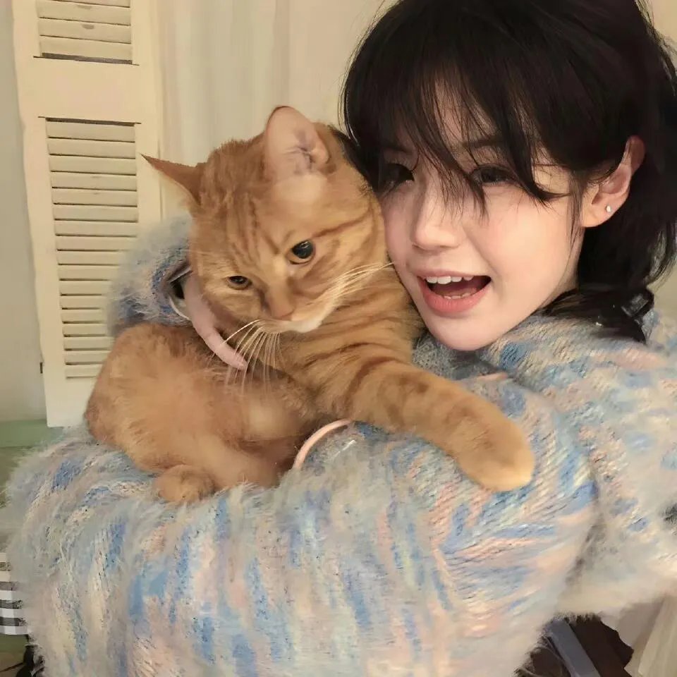 网飞对抗全世界